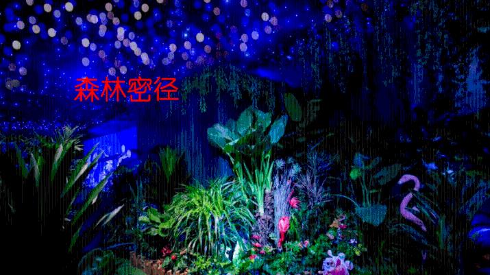 失落的星球2